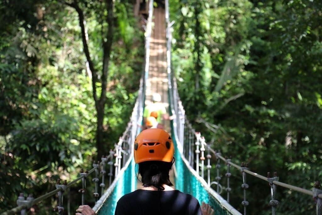 A person walking on a suspension bridge surrounded by dense greenery.