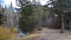 A dirt path leading to a cabin surrounded by dense forest.