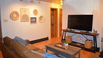 Smart TV, fireplace, books