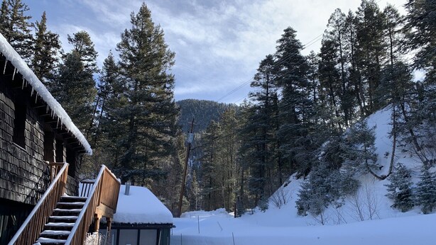 A wooden cabin with a staircase leading to a door, surrounded by snow-covered ground and trees.