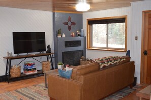 Smart TV, fireplace, books