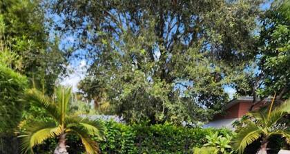 Blue Heaven in the Heart of Stuart Heat/salt pool