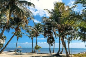 Una spiaggia con palme e cielo sereno.