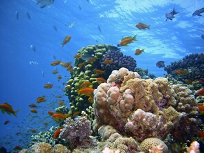 Interior detail - Apartment in hurghada near the sea (Hurghada)