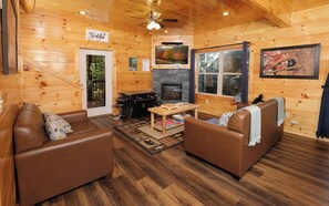 TV, fireplace, video games, DVD player