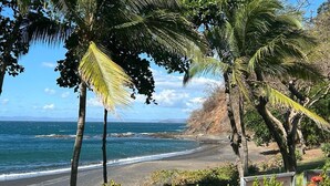 A beach with palm trees and a view of the ocean. - Ocean View 4 Bedroom Villa Steps to Beach & Resort Amenities (Guanacaste Province)