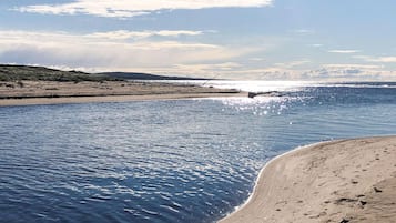 Playa en los alrededores