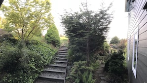 Un chemin menant à une maison entourée d’une végétation luxuriante et d’arbres.