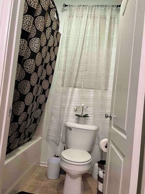 Combined shower/bathtub