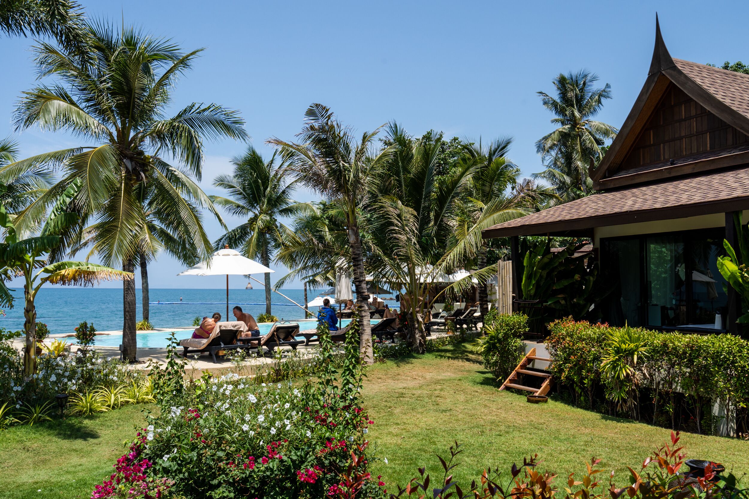 A tropical resort with a pool area, palm trees, and a view of the ocean.