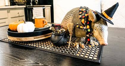 The Holiday Armadillo • AR Tiny House