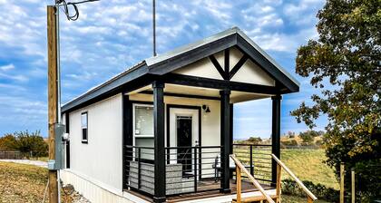 The Holiday Armadillo • AR Tiny House