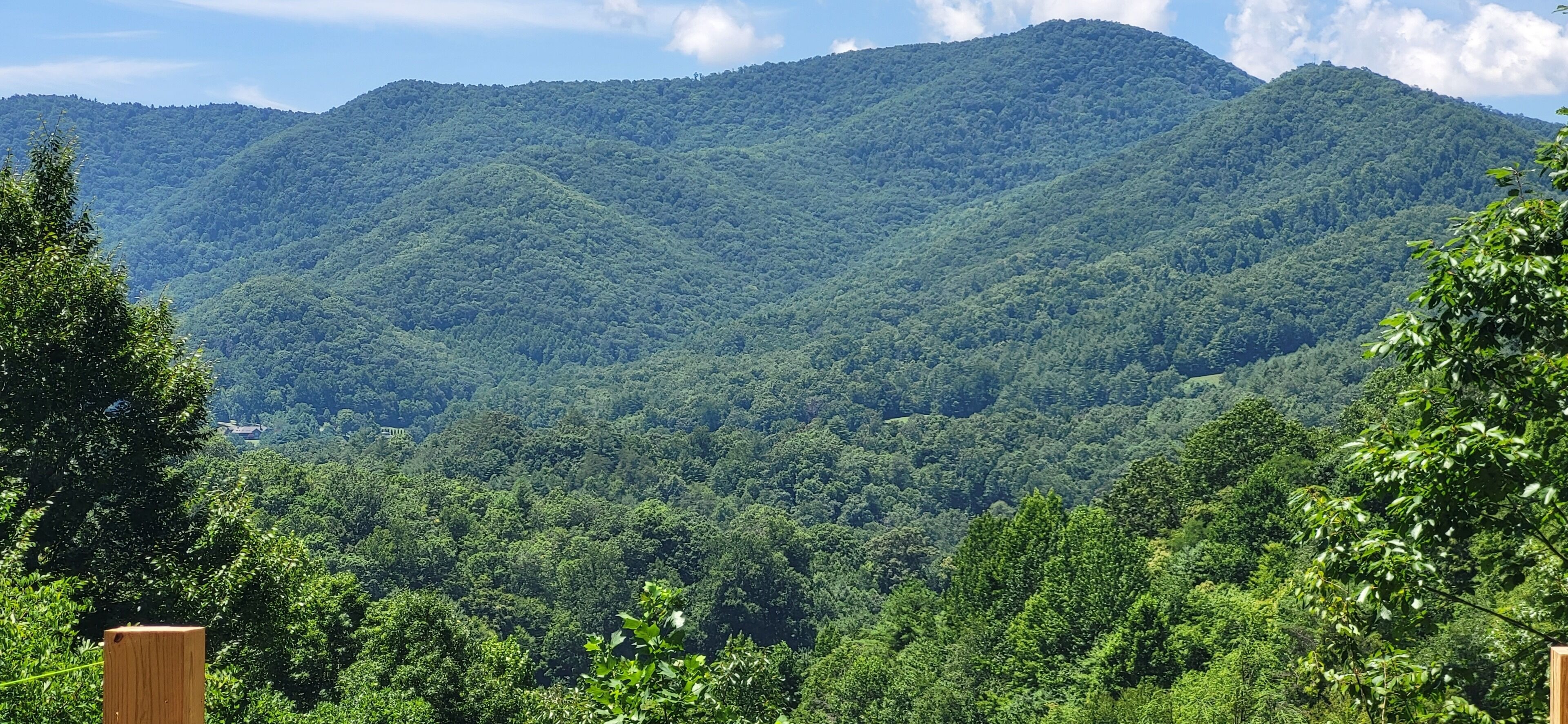 Un paysage montagneux caractérisé par une forêt dense.