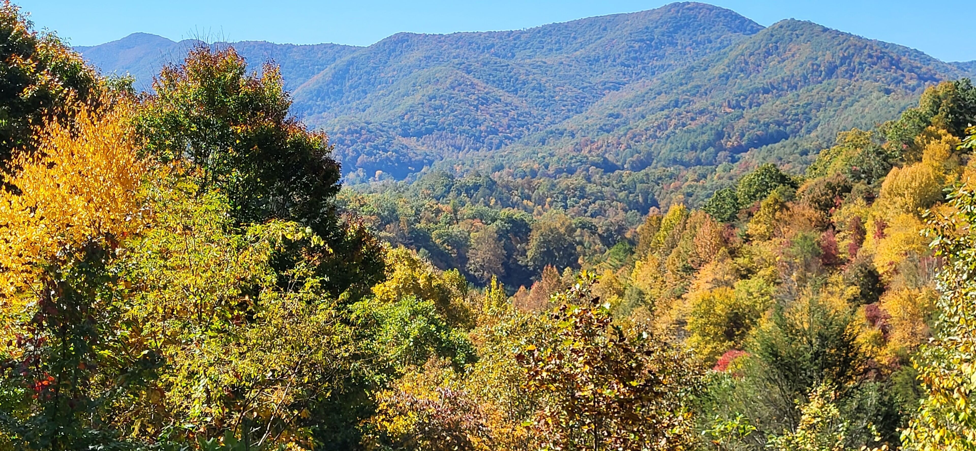 A mountainous landscape with dense forest and autumn foliage.