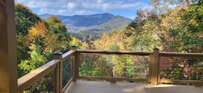 Property grounds - Cozy Mountain Chalet with views, private setting! Near WCU and Castle Ladyhawke  (Cullowhee)