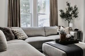 Smart TV, fireplace, books, stereo