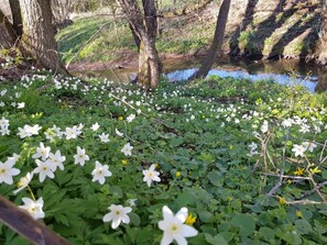 Exterior detail - Holiday Home "Haus He_rhönspatz_iert" with Garden & Wi-Fi (Willmars)