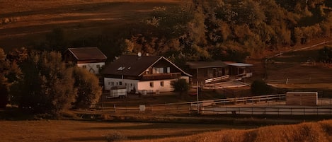 Eksteriør
