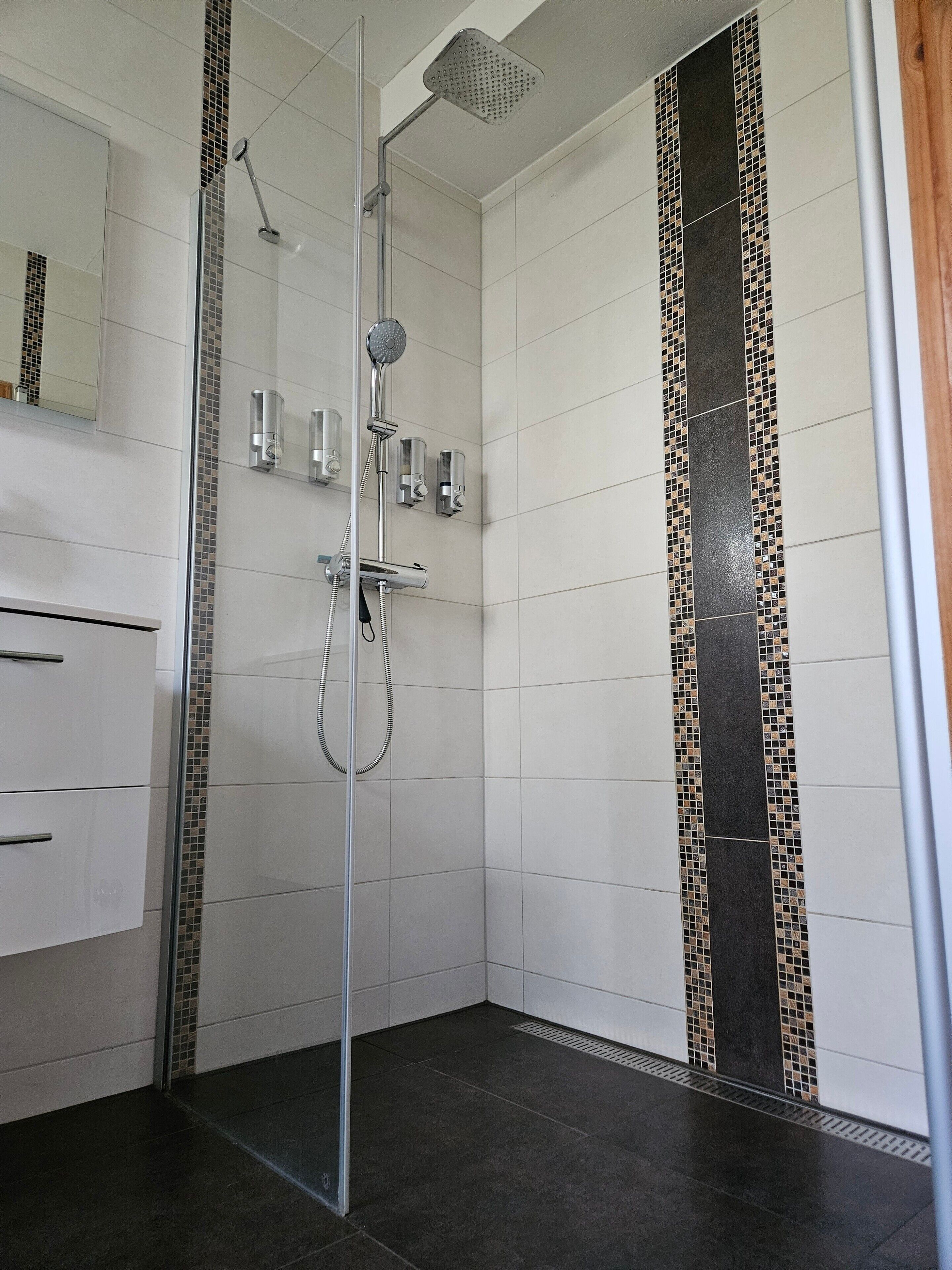 Shower, free toiletries, hair dryer, towels
