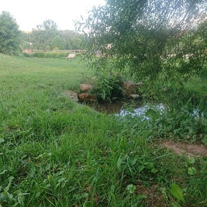 Property grounds - Studio Apartment "Belroki Ranch" with Sauna, Terrace, and Garden (Waldeck)