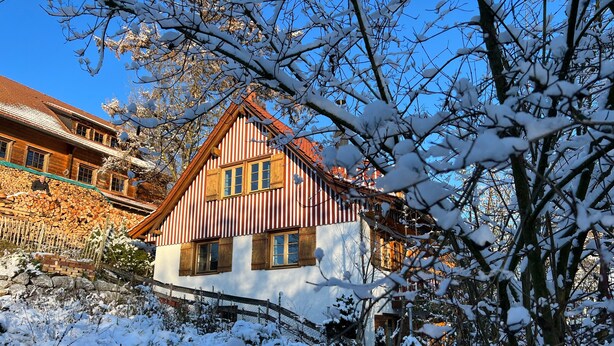 A traditional wooden house with a sloped roof, surrounded by snow-covered trees and a clear blue sky. - Apartment "Pias Nature Retreat i - Studio" with Private Terrace, Shared Garden & Wi-Fi (Goppertsweiler)