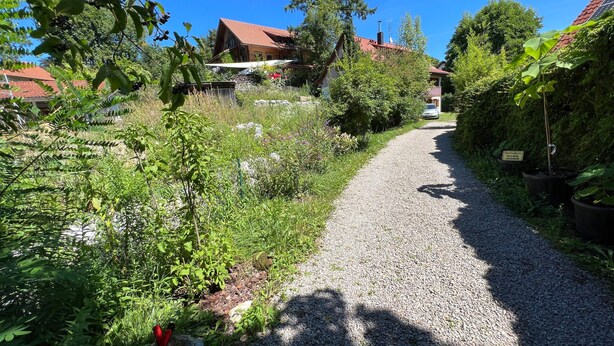 Un chemin de gravier mène à une maison en bois avec un toit rouge, entourée de verdure et d’arbres.