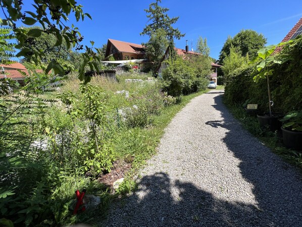 Àrea exterior de l'allotjament