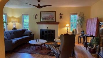 Smart TV, fireplace, DVD player, books