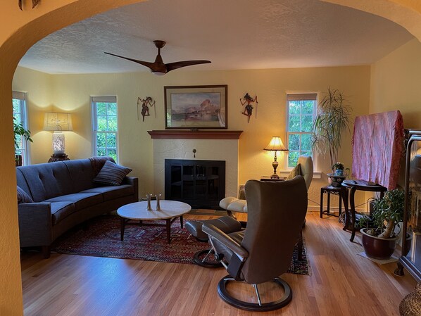 Älytelevisio, takka, DVD-soitin, kirjoja