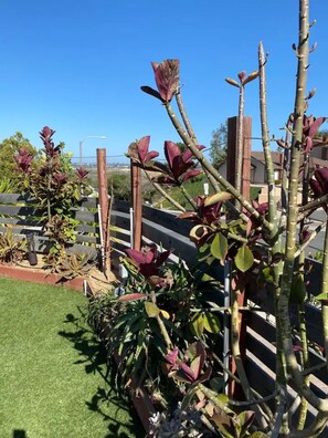 Exterior detail - Oceanside Gem W/ Pool, Hot Tub and Game Room! (Oceanside)