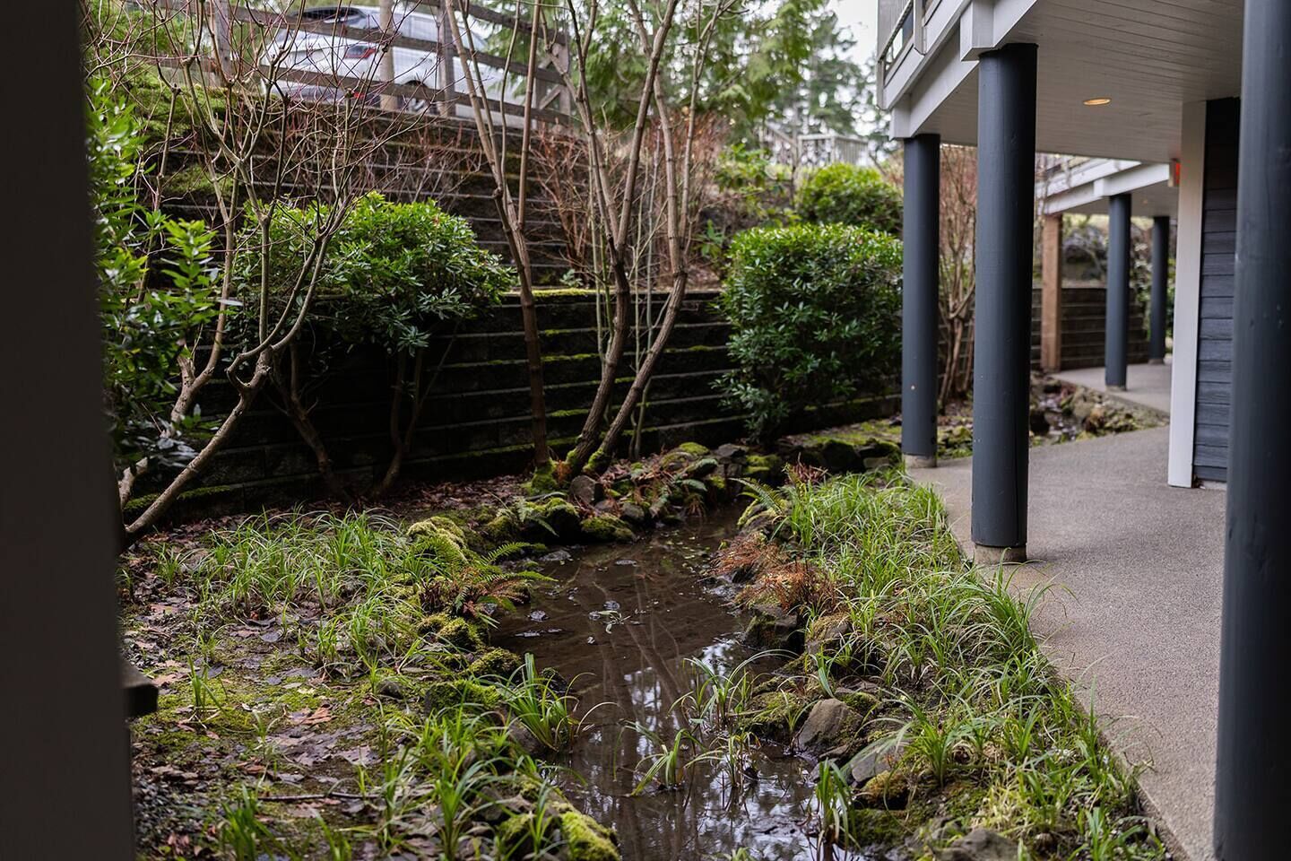 Un jardin paisible, avec un petit ruisseau, entouré d’une végétation luxuriante et d’une clôture en bois.