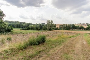 Escape to a serene rural landscape with a winding dirt path through lush fields and dense foliage.