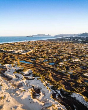 بالقرب من الشاطئ