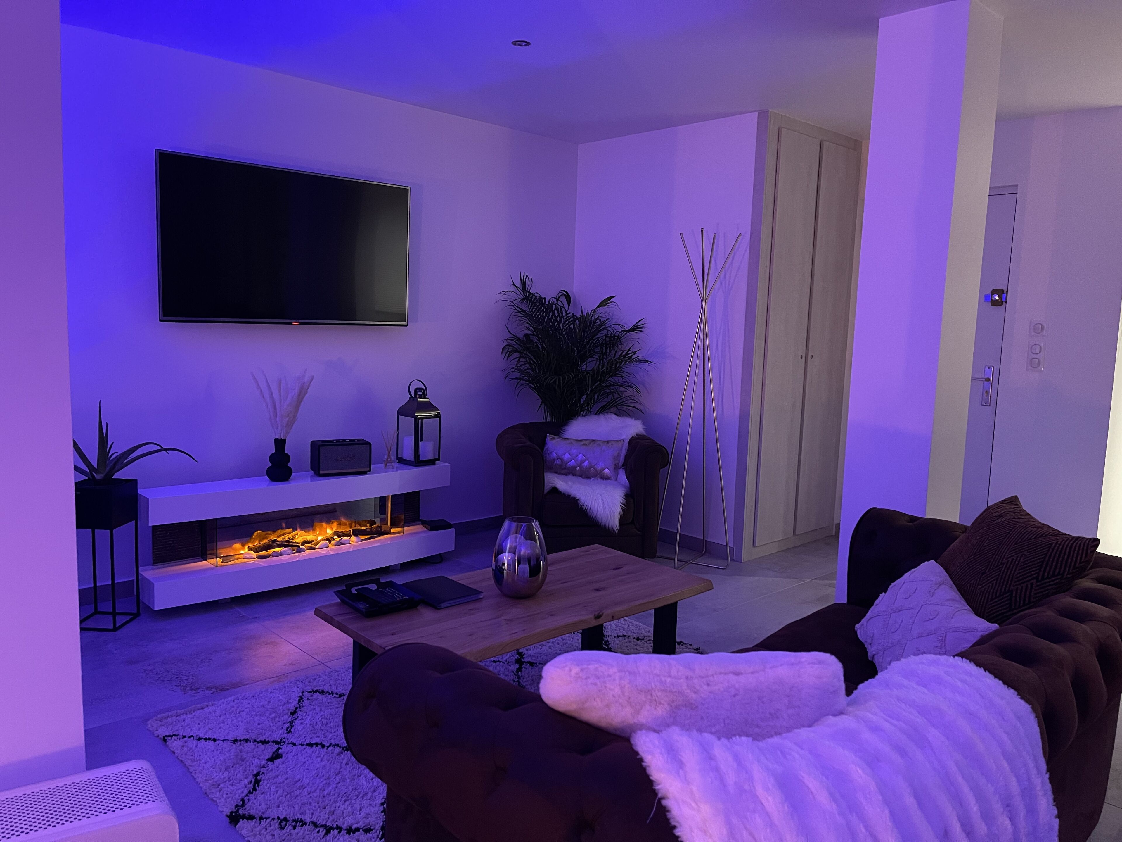 Televisión de pantalla plana 