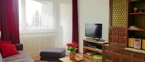 Fernseher, DVD-Player