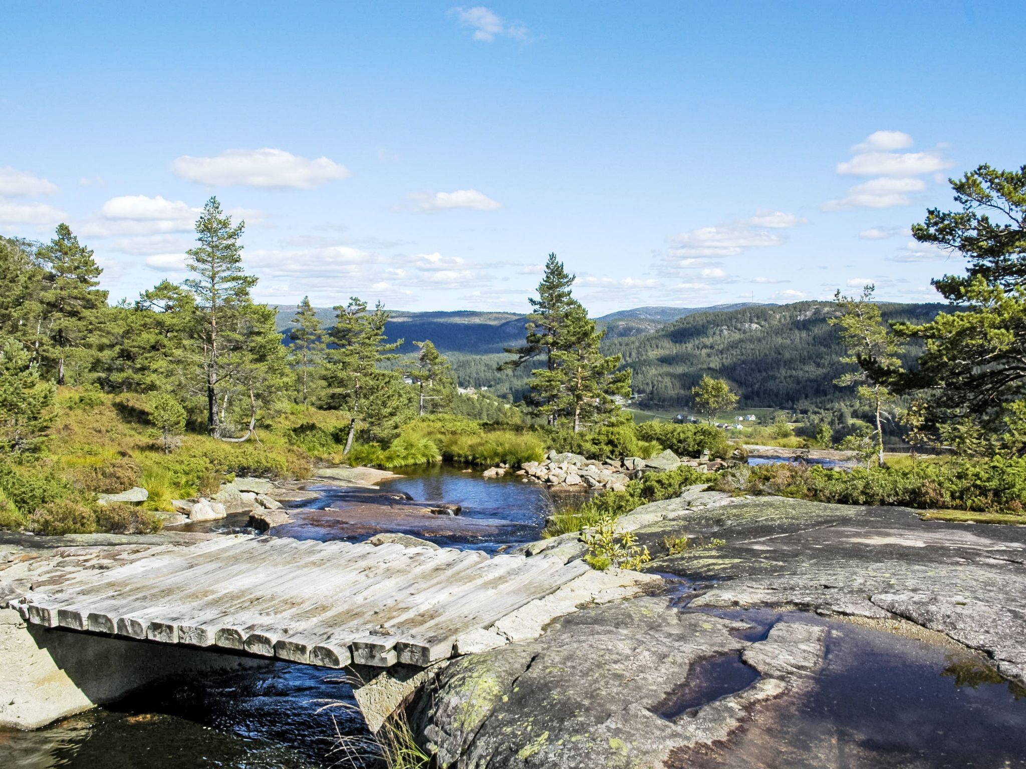 A wooden bridge over a stream in a forested area with a view of distant hills.