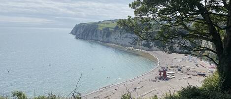 ビーチの近く、ビーチタオル