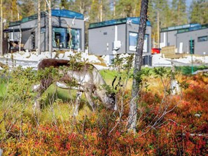 Une cabane au design moderne, entourée d’un paysage naturel aux couleurs automnales.