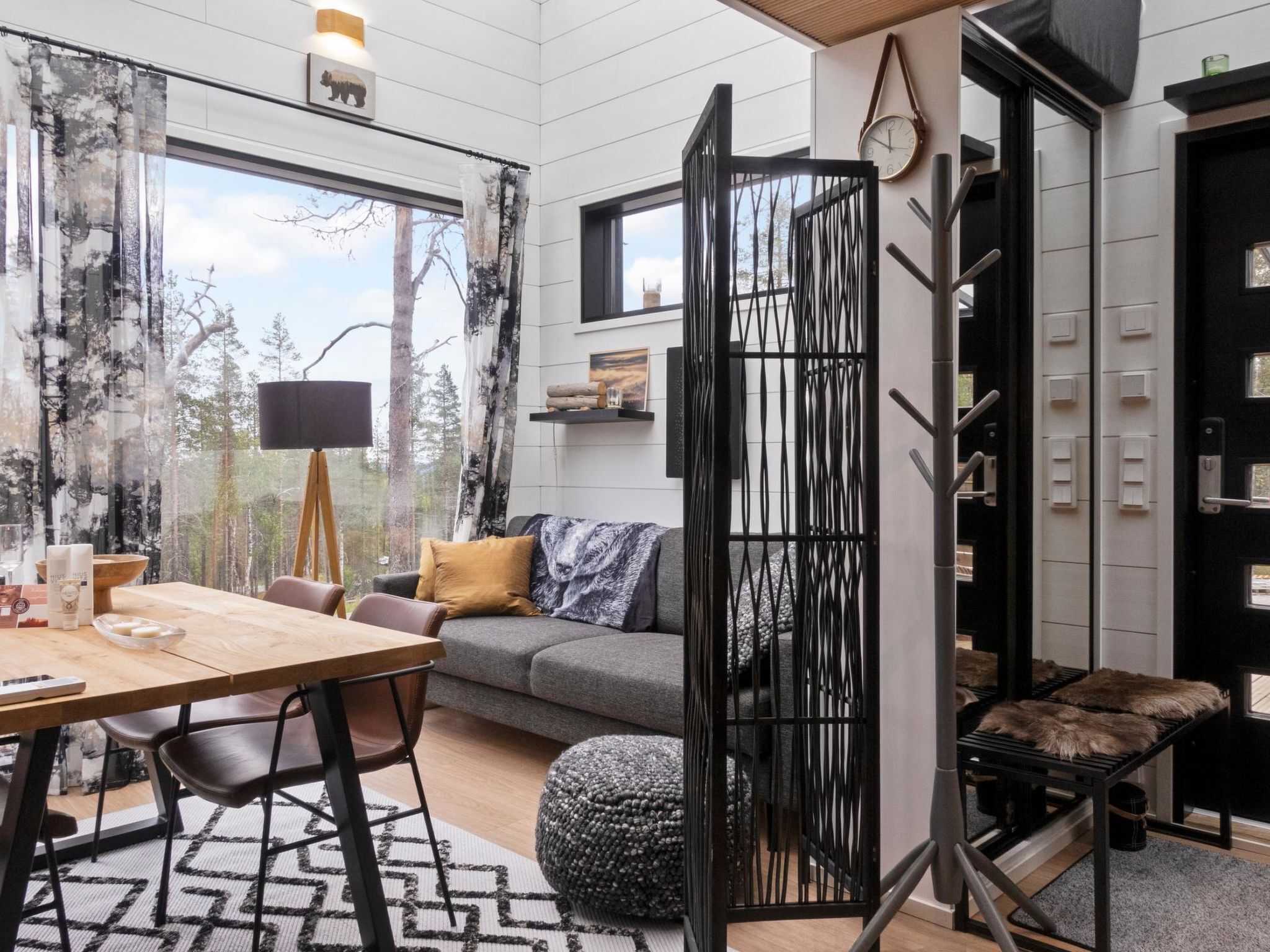 Télévision, cheminée, chaîne hi-fi