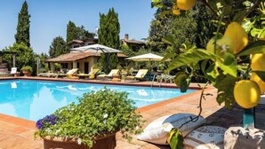 Ein Poolbereich mit Liegestühlen, ein Haus im Hintergrund und eine Topfpflanze im Vordergrund.