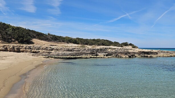 Une plage avec une eau claire et peu profonde, un rivage sablonneux et une colline boisée en arrière-plan.
