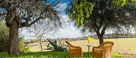 المنطقة المحيطة بالمنشأة