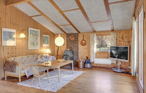 TV, fireplace, DVD player