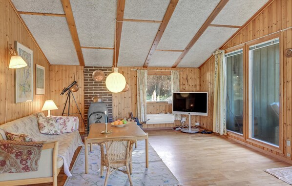 TV, fireplace, DVD player