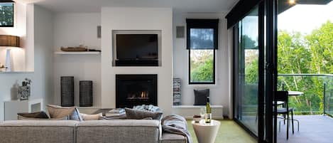 TV, fireplace