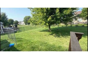 A grassy outdoor area with a metal fence, a tree, and a wooden bench. - •Delightful 5b stay in Paradise!!• (Waukee)