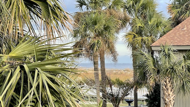 A coastal view with palm trees and a beach in the background. - Oceanside, steps to the Beach, pets considered, cards avail, Beach Club Complex (Saint Helena Island)