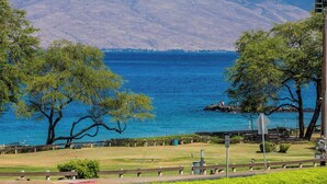 Miscellaneous - Spacious Wailea Maui Condo with Pool & Tropical Garden Setting (Wailea)