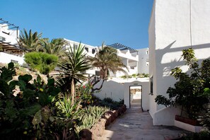 Un étroit sentier menant à l’entrée d’un bâtiment, bordé de cactus et de palmiers, avec un ciel bleu dégagé au-dessus.