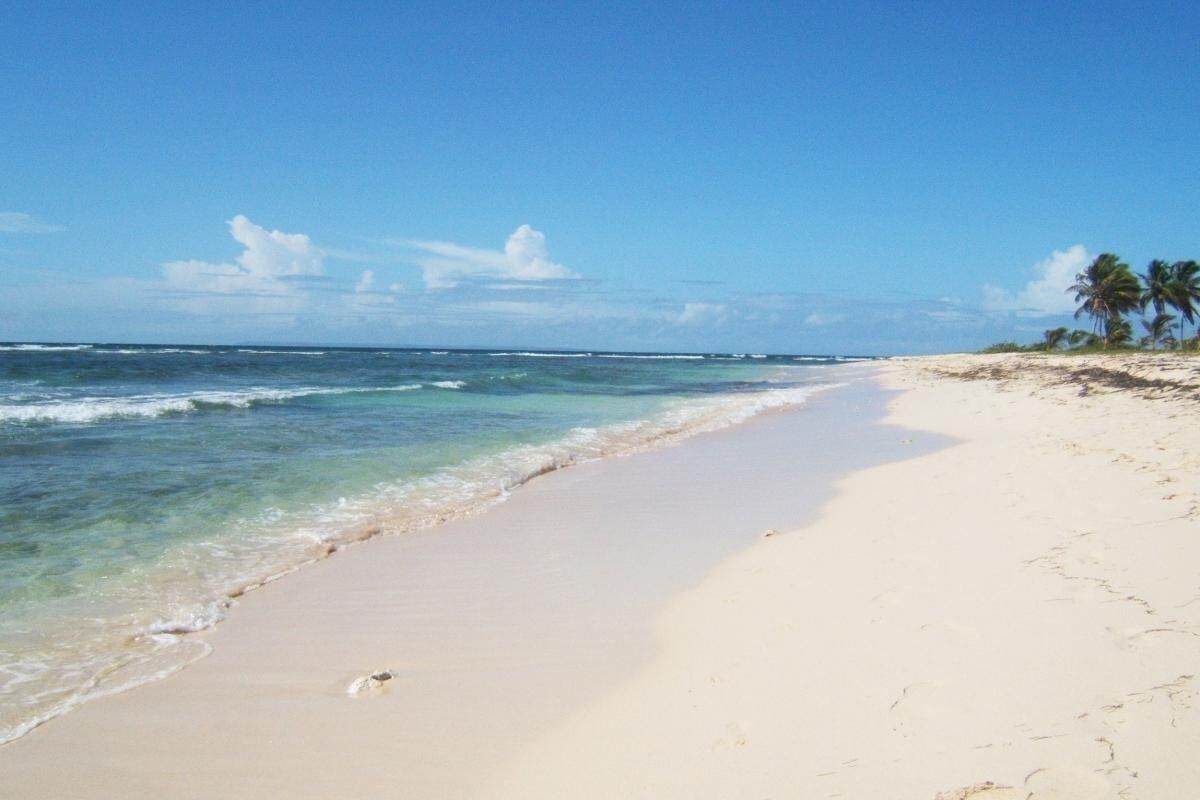 Una playa con agua azul cristalina, orilla de arena y palmeras.